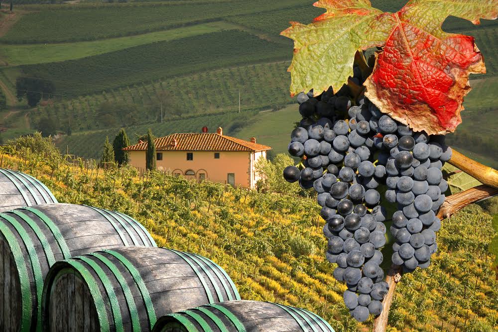 Tour del vino nel Chianti: consigli e info utili